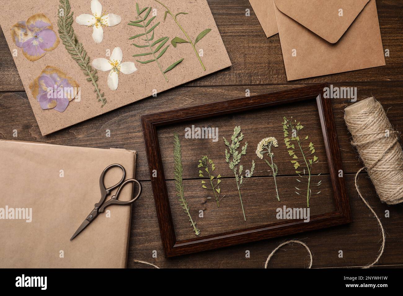Composizione piatta con fiori secchi e piante su tavola di legno Foto Stock