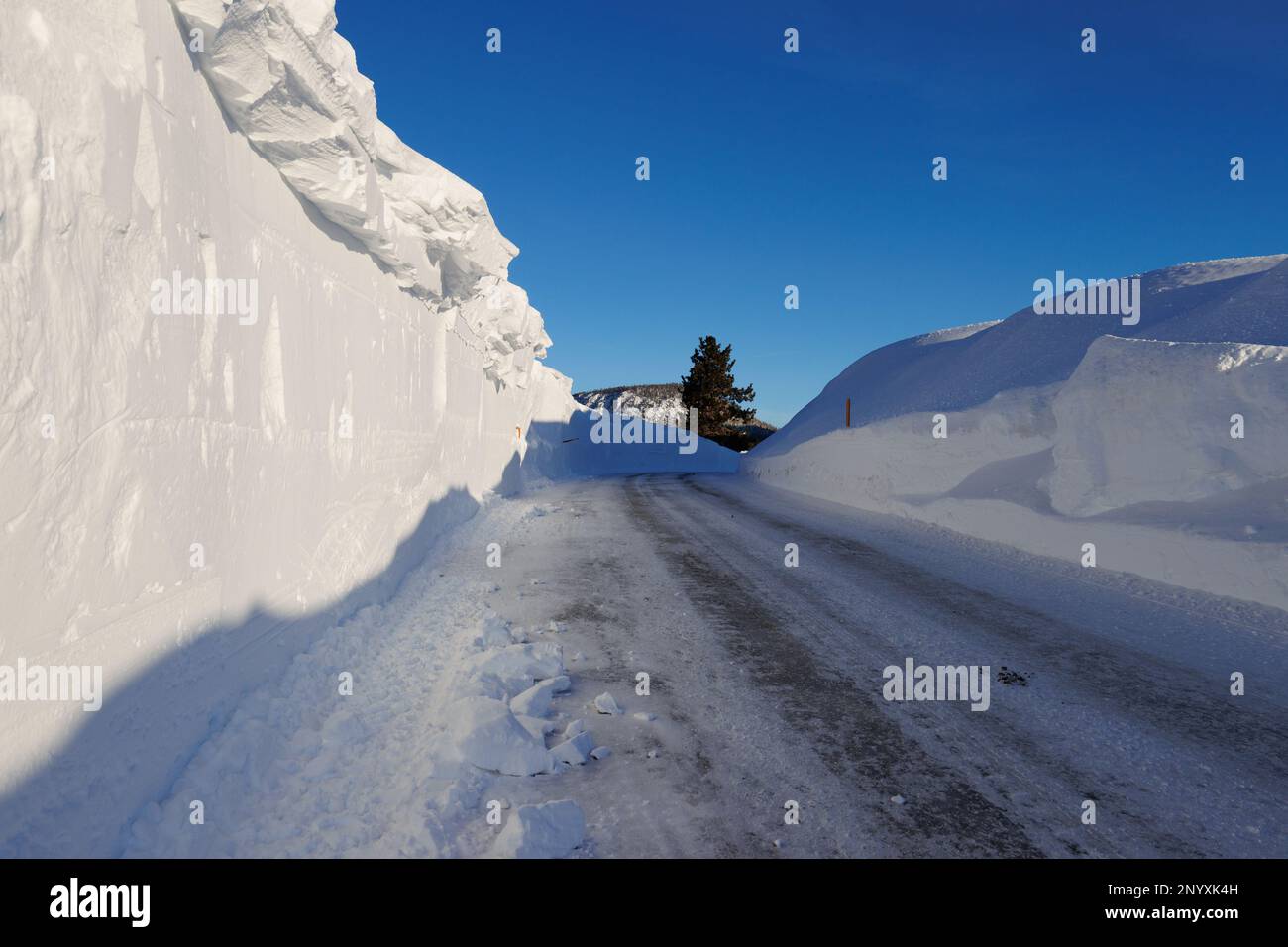 Snowbanks torre su una strada a Mammoth Lakes, CA dopo le tempeste di scarico di oltre 10 metri di neve sulla città della Sierra Nevada. Foto Stock