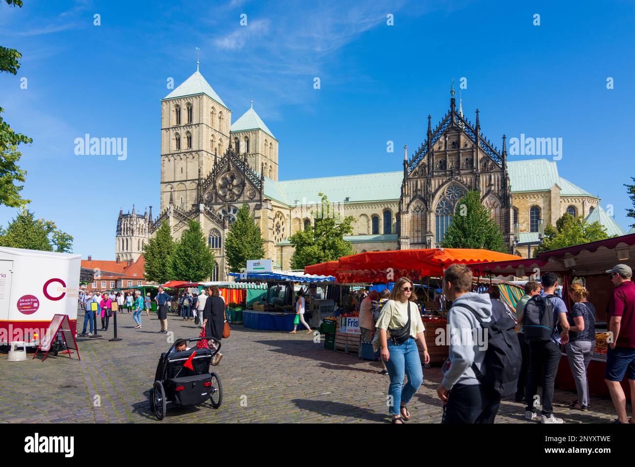Münster: Cattedrale di Münster o St.-Paulus-Dom, mercato settimanale a Münsterland, Nordrhein-Westfalen, Renania settentrionale-Vestfalia, Germania Foto Stock