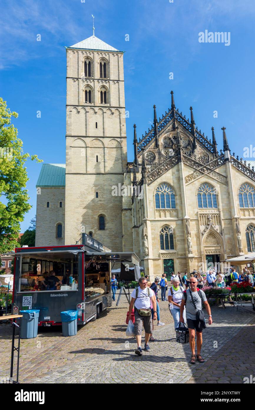 Münster: Cattedrale di Münster o St.-Paulus-Dom, mercato settimanale a Münsterland, Nordrhein-Westfalen, Renania settentrionale-Vestfalia, Germania Foto Stock