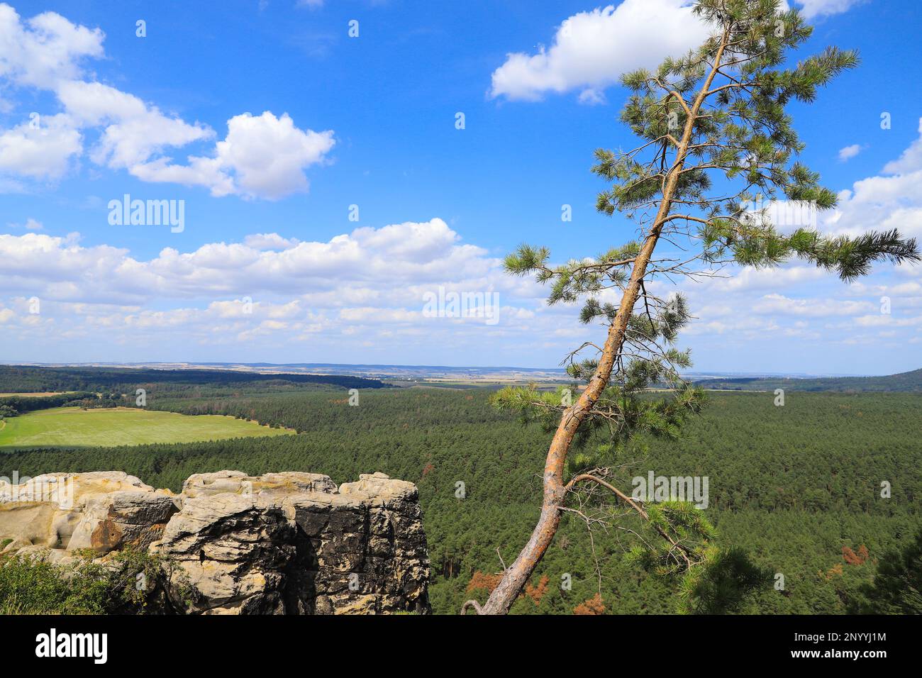 Vista dal Castello Regenstein a Blankenburg ad Harz fino alle montagne Harz - Germania Foto Stock