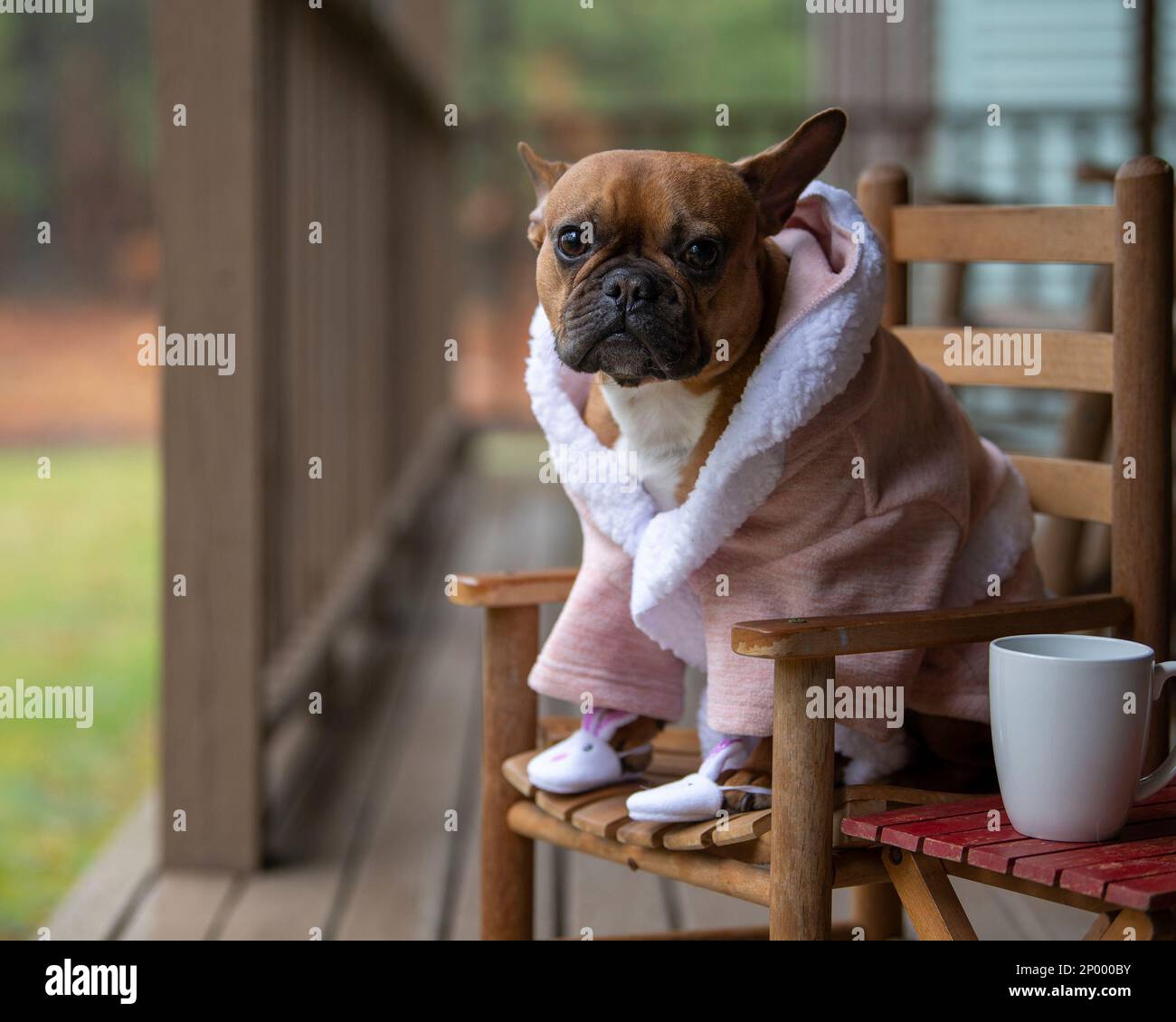 Slippers and bathrobe immagini e fotografie stock ad alta risoluzione -  Alamy