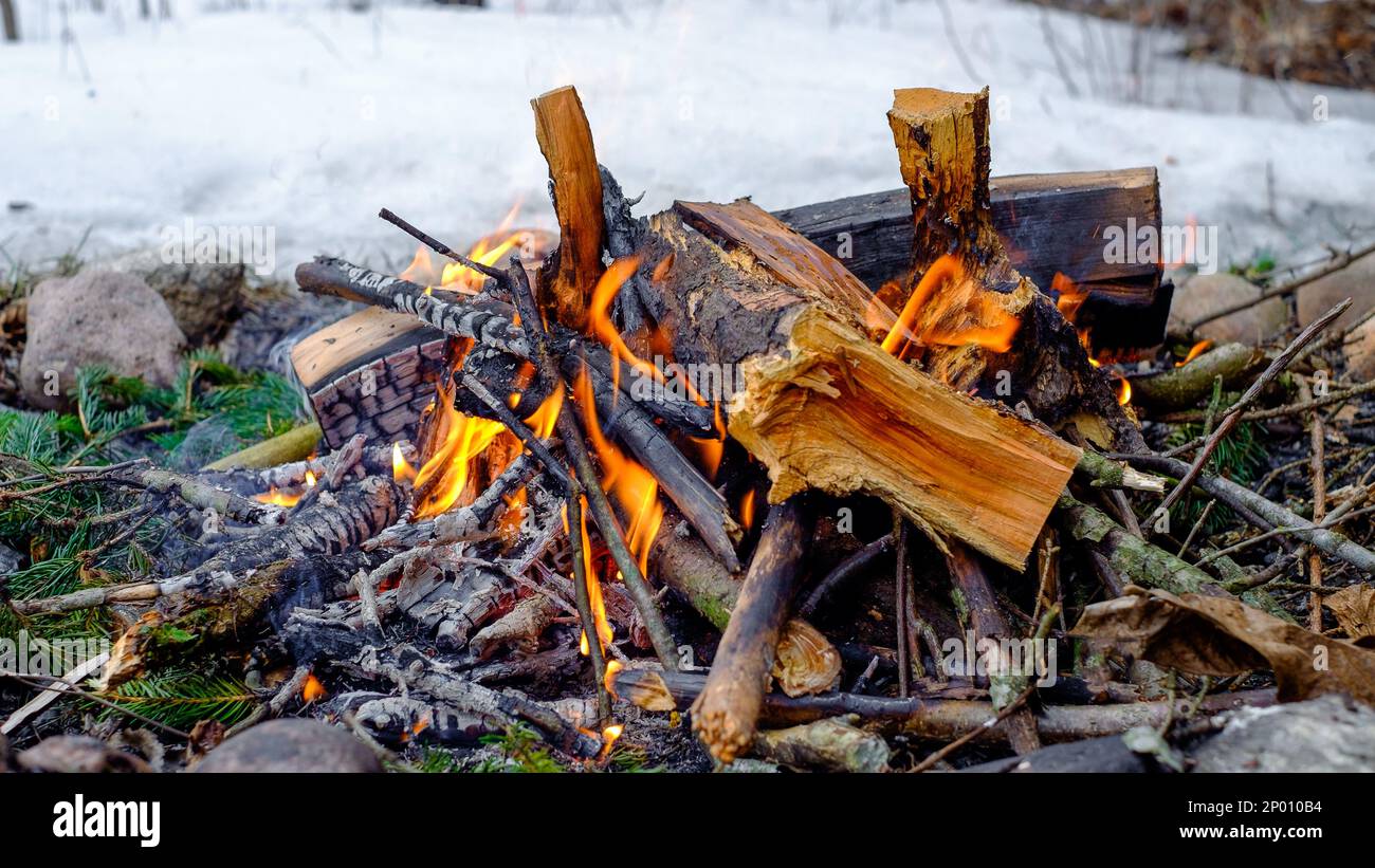 fuoco falò inverno boschi legna fiamme Foto Stock