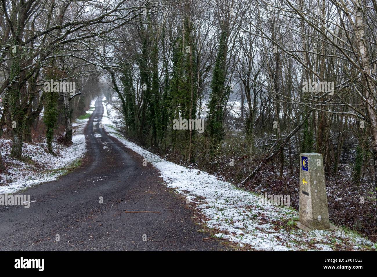 Giorno nevoso, cartello con la conchiglia di capesante simbolo di Camino de Santiago in Spagna Foto Stock