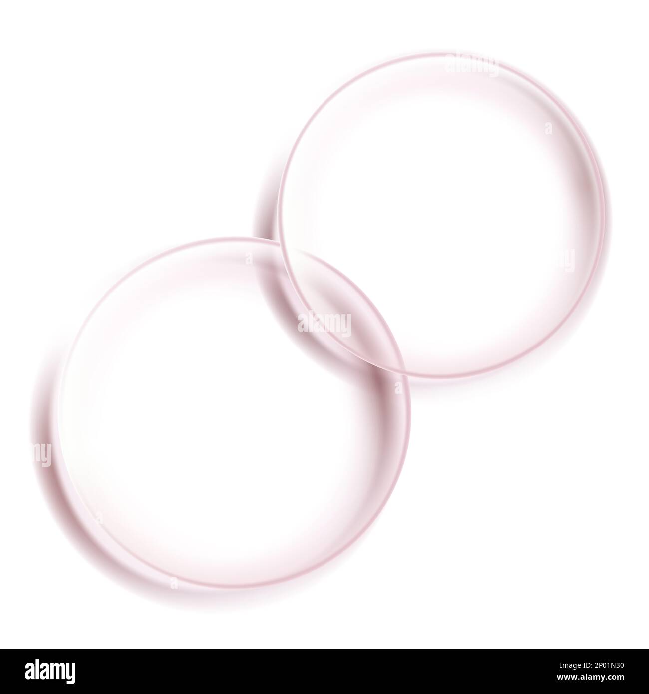 Petri piatto con crema di bellezza o gel 3D Illustrazione sotto la luce del sole per la bellezza e la salute Poster, imballaggio di prodotto, o Pubblicità sfondo. Foto Stock