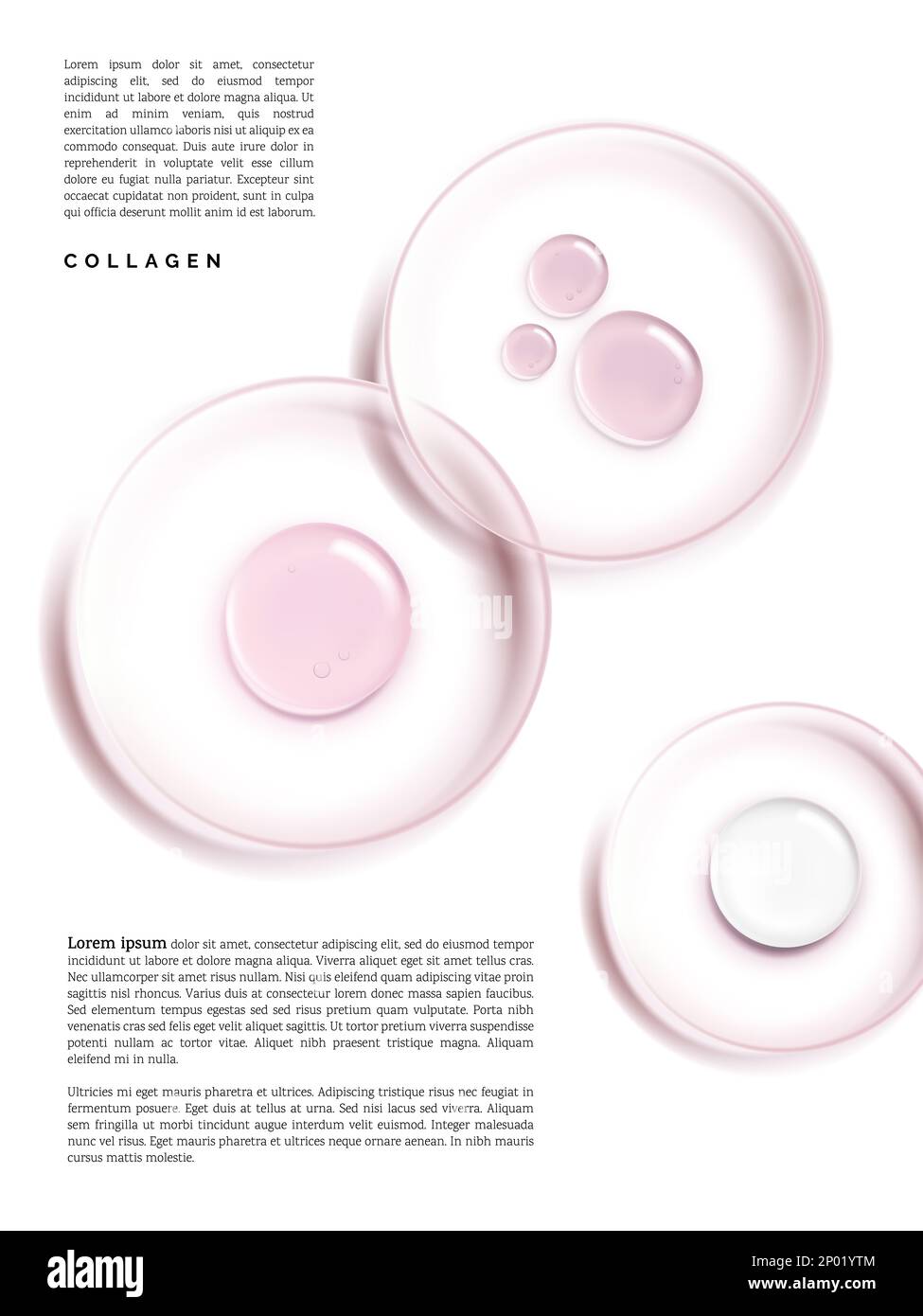 Piatto di Petri vettoriale con crema di bellezza o gel 3D Illustrazione sotto la luce del sole per la bellezza e la salute Poster, Product Packaging, o Advertisement Backgr Foto Stock