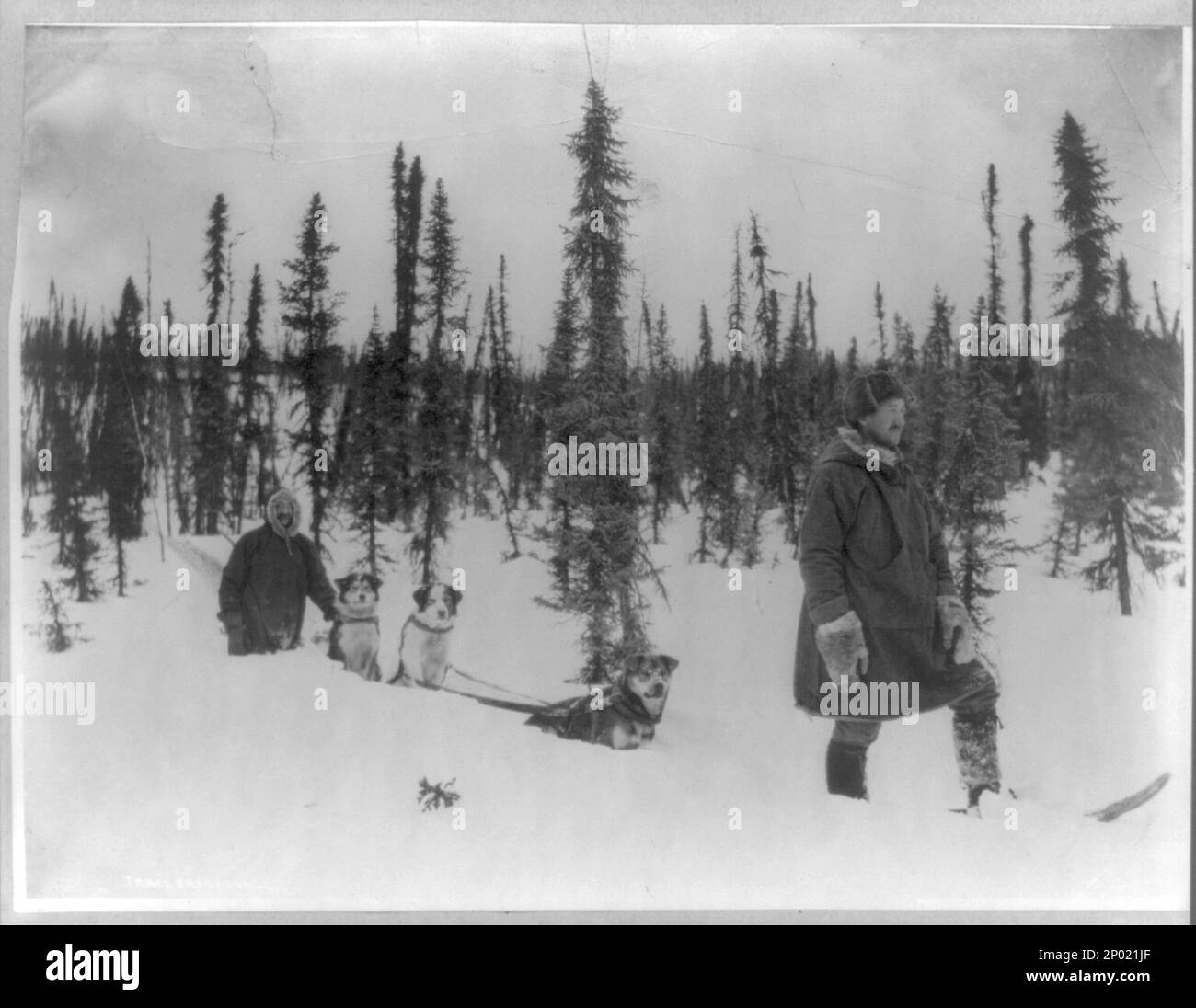 Cane slitta e uomini su racchette da neve vicino Fairbanks. Collezione Frank and Frances Carpenter , regalo; Sig.ra W. Chapin Huntington; 1951, Dogsledding,Alaska,Fairbanks,1890-1930, squadre di cani,Alaska,Fairbanks,1890-1930, racchette da neve,Alaska,Fairbanks,1890-1930, Stati Uniti, Alaska Foto Stock