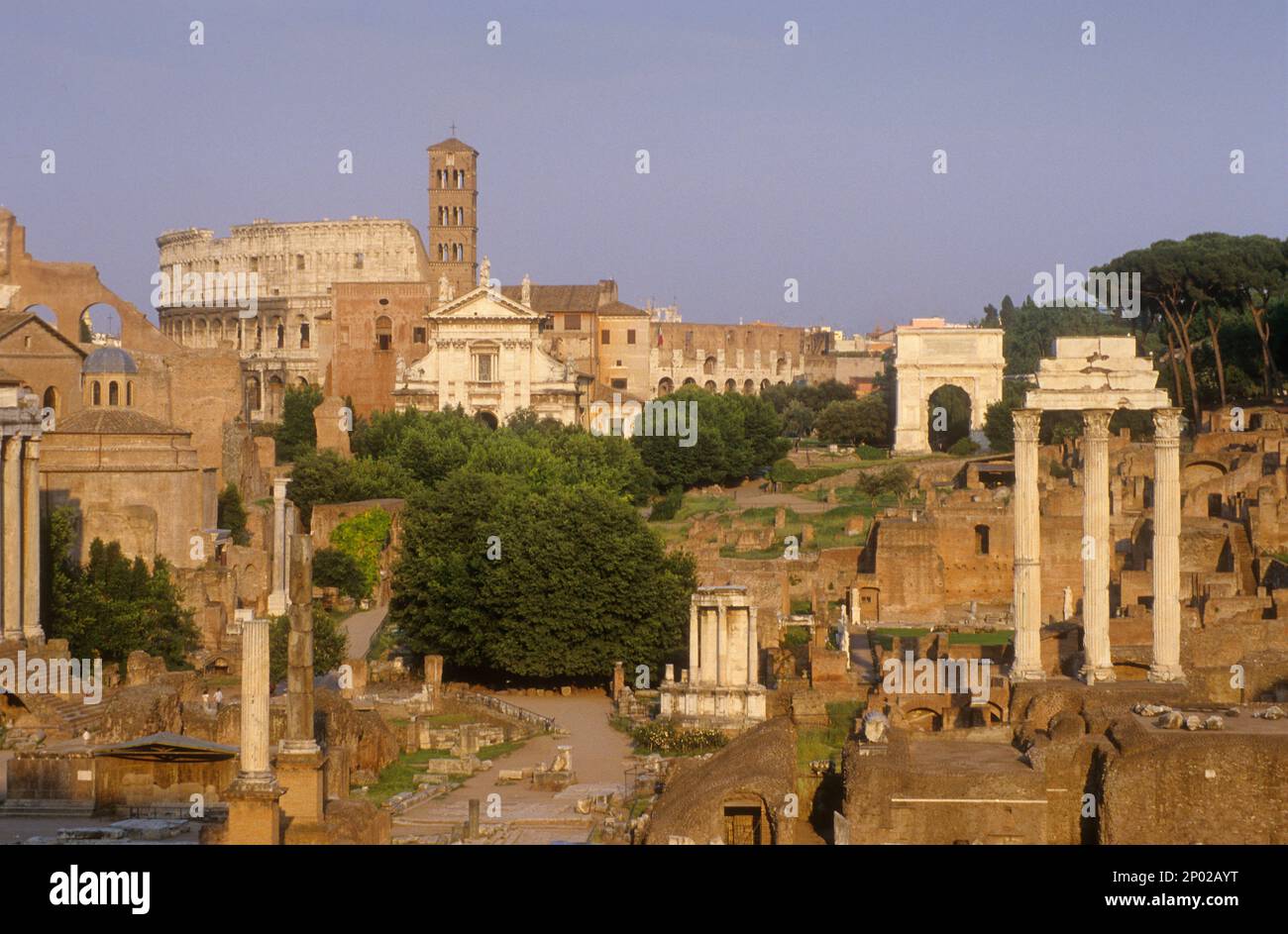 Foro Romano, Roma, Italia Foto Stock