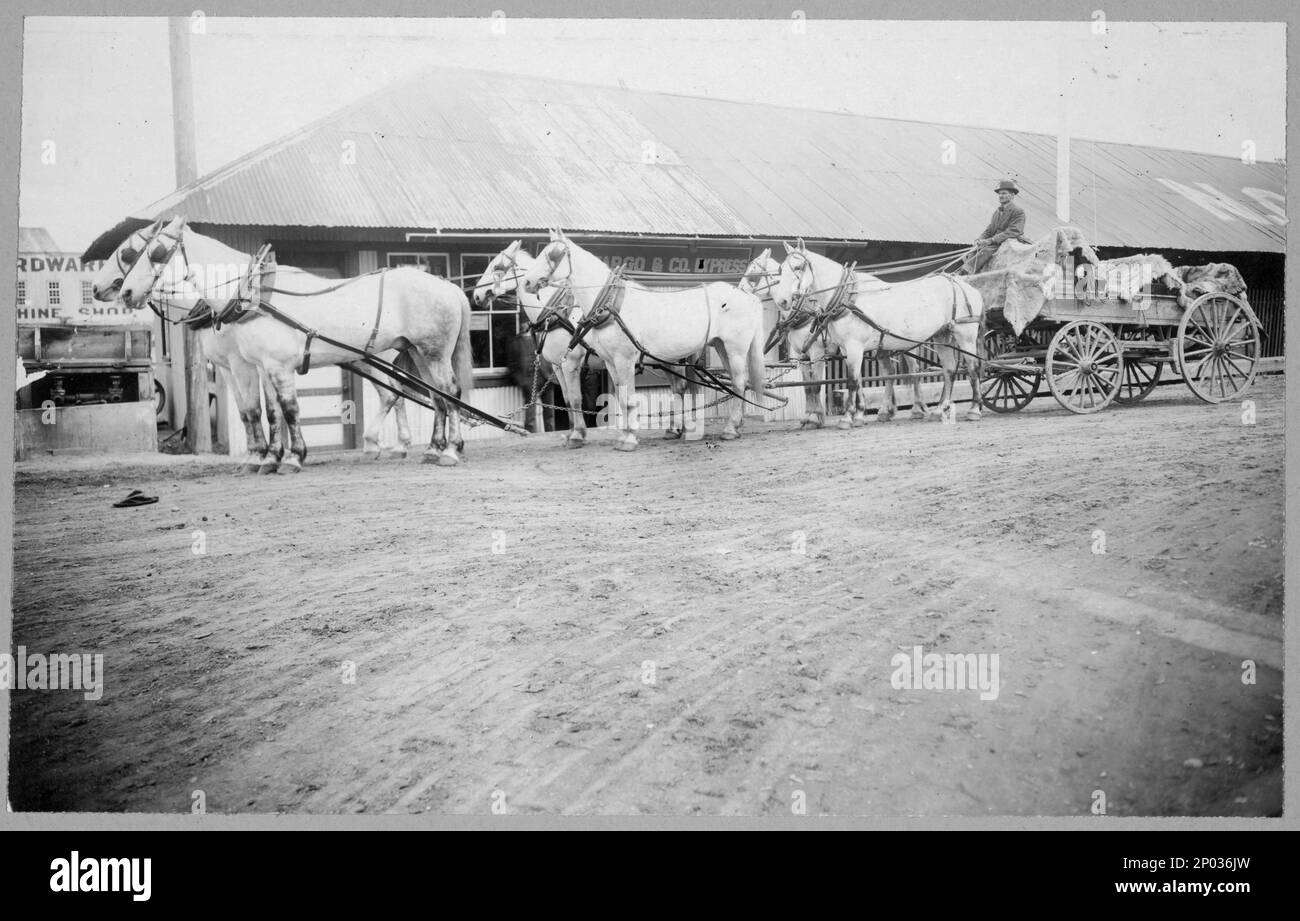 La squadra di cavalli inizia su sentiero per Chitina. Frank e Frances Carpenter Collection, regalo; Sig.ra W. Chapin Huntington; 1951, Horses, Alaska, Fairbanks, 1890-1930, Carriers & Coach, Alaska, Fairbanks, 1890-1930, Stati Uniti, Alaska, Fairbanks Foto Stock