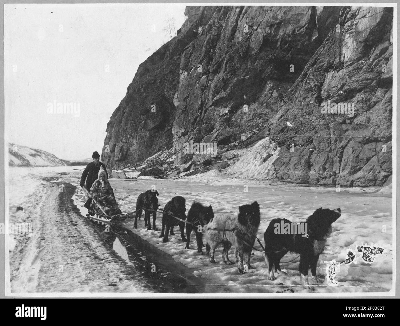 Trasporto con la squadra di slitta trainata da cani. Frank and Frances Carpenter Collection, regalo; Sig.ra W. Chapin Huntington; 1951, Dogsledding, Alaska, 1890-1930, Dog Teams, Alaska, 1890-1930, Cliffs, Alaska, 1890-1930, Stati Uniti, Alaska Foto Stock