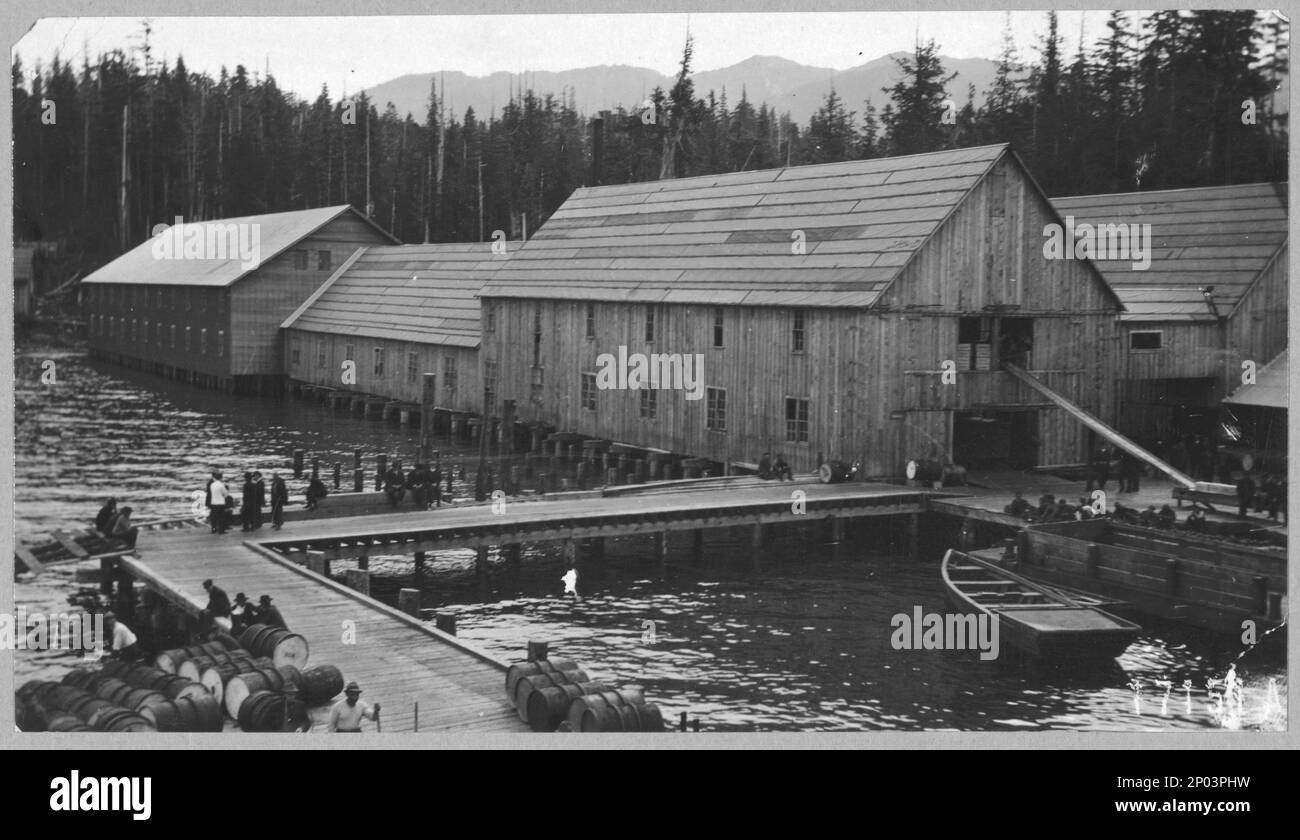 cannery di salmone circa venti miglia a sud di Ketchikan, nella Tongass National Forest. Collezione di falegname Frank and Frances, regalo; Sig.ra W. Chapin Huntington; 1951, cannerie, Alaska, Tongass National Forest, 1890-1940, industria della pesca, Alaska, Tongass National Forest, 1890-1940, Salmon, Alaska, Tongass National Forest, 1890-1940, Waterfront, Alaska, Tongass National Forest, 1890-1940, Tongass National Forest (Alaska), Stati Uniti, 1890-1940 Foto Stock