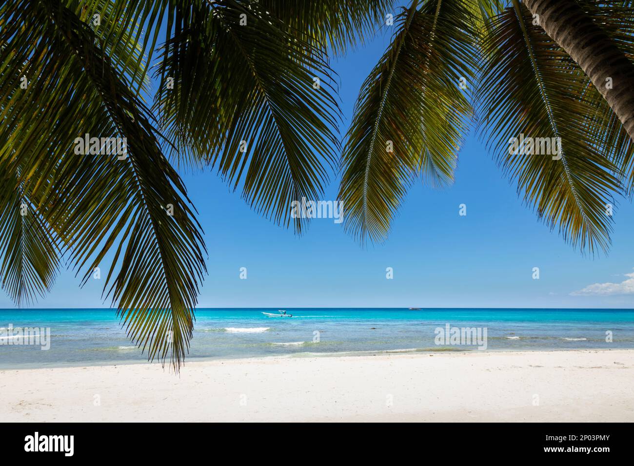 Spiaggia tropicale nel Mar dei caraibi, idilliaca isola di Saona, Punta Cana, Repubblica Dominicana Foto Stock