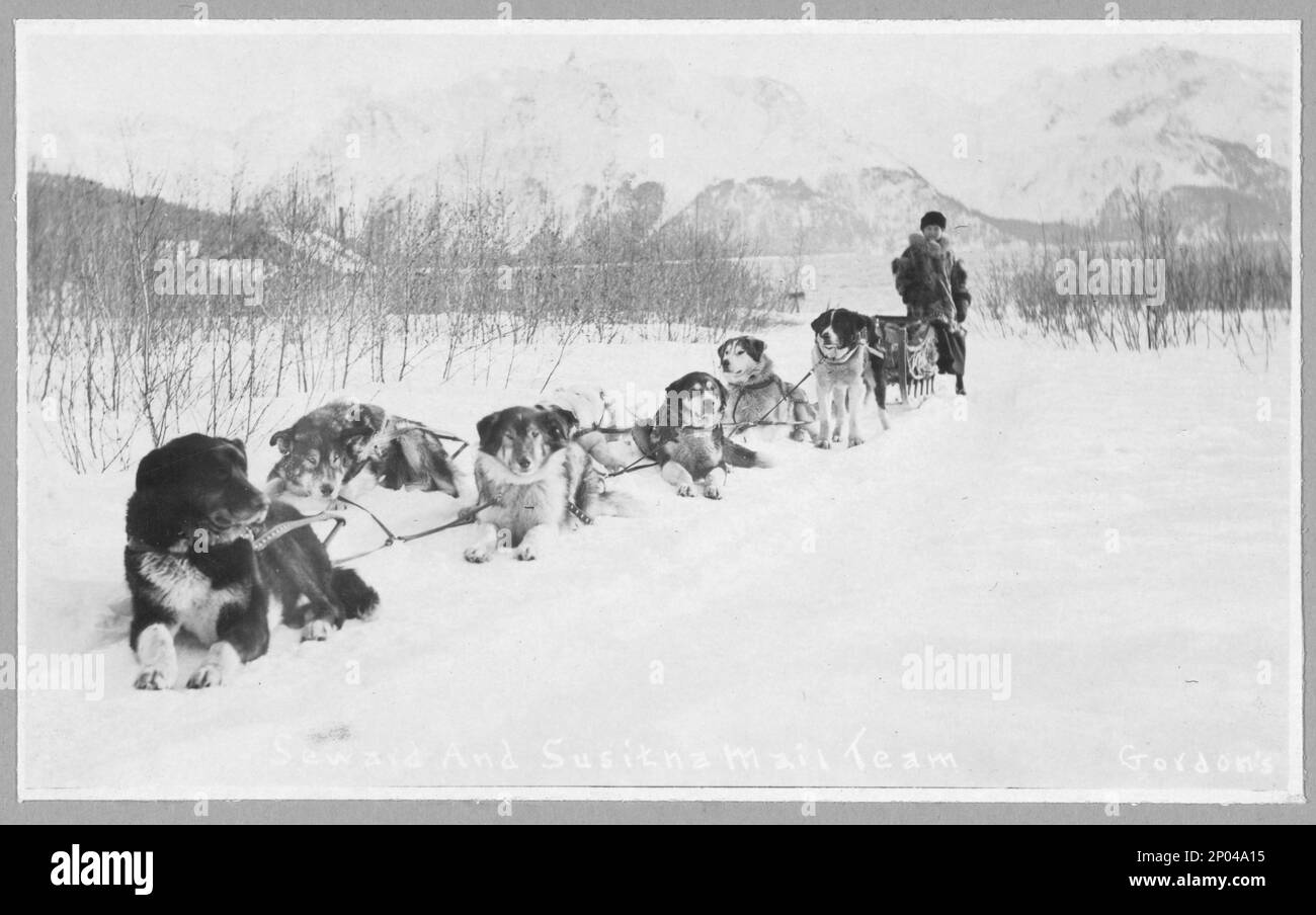 Seward e il team di posta di Susitna. Frank and Frances Carpenter Collection , Gift; Mrs. W. Chapin Huntington; 1951, Dog Teams, Alaska, Seward, 1890-1940, Stati Uniti, Alaska Foto Stock
