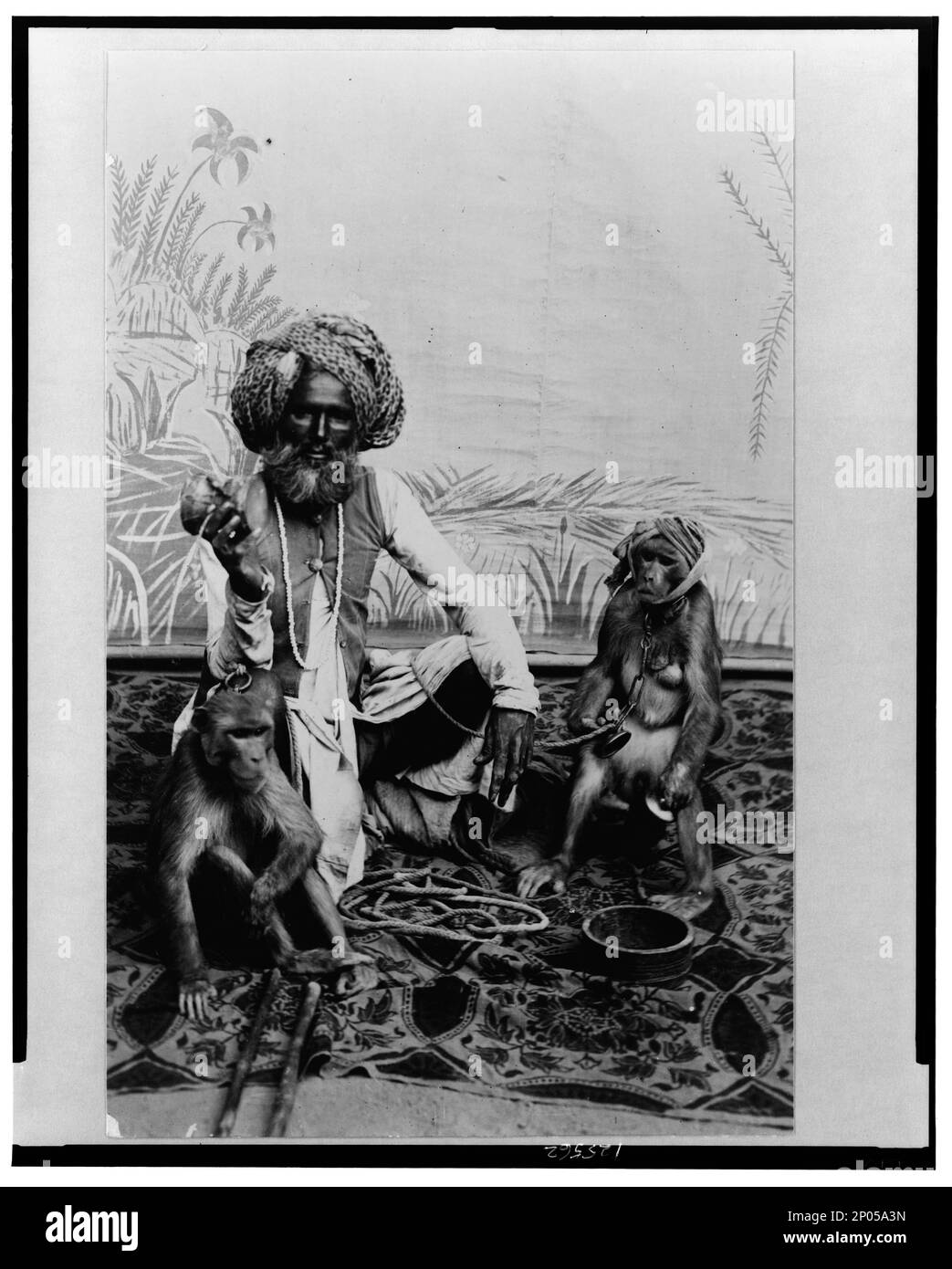 India--Fakir con scimmie. Frank and Frances Carpenter Collection , Fakirs,India,1890-1920, Monkeys,India,1890-1920. Foto Stock