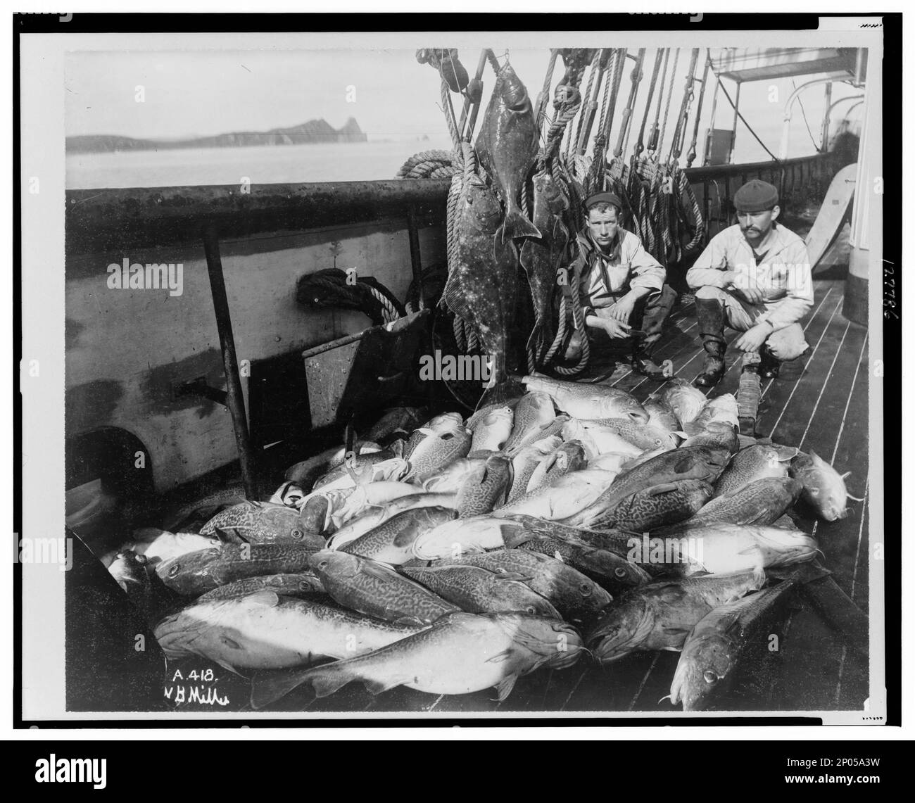 Imbarcazione da pesca, merluzzo bianco e ippoglosso / W. B. Miller.. Frank e Frances Carpenter Collection, regalo; Sig.ra W. Chapin Huntington; 1951, industria della pesca, Alaska, 1890-1930, pescatori, Alaska, 1890-1930, barche da pesca, Alaska, 1890-1930, Halibut, Alaska, 1890-1930, Codfish, Alaska, 1890-1930, Stati Uniti, Alaska Foto Stock