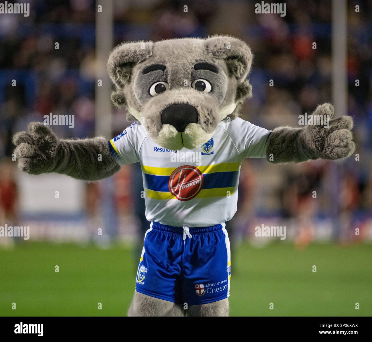 Warrington, Cheshire, Inghilterra 2nd marzo 2023. Warrington Wolves mascotte 'Wolfie', durante Warrington Wolves V Salford Red Devils allo stadio Halliwell Jones, la Betfred Super League, Warrington ((Credit Image: ©Cody Froggatt/Alamy live news) Foto Stock