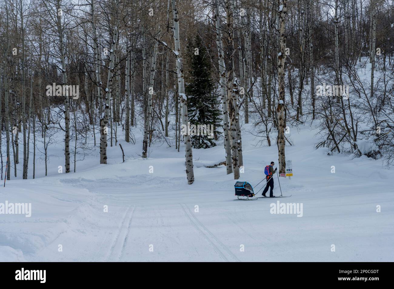 Uno sciatore di fondo al Nordic Center of the Sundance Resort, noto anche come Sundance Mountain Resort, una stazione sciistica situata a 13 miglia (21 km Foto Stock