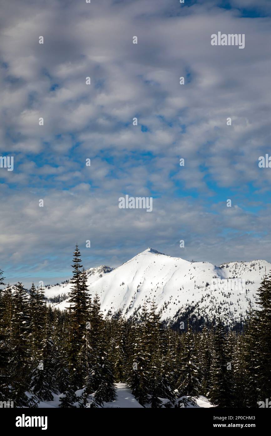 WA23185-00...WASHINGTON - le pendici aperte di Granite Mountain visto da Windy Pass. Foto Stock