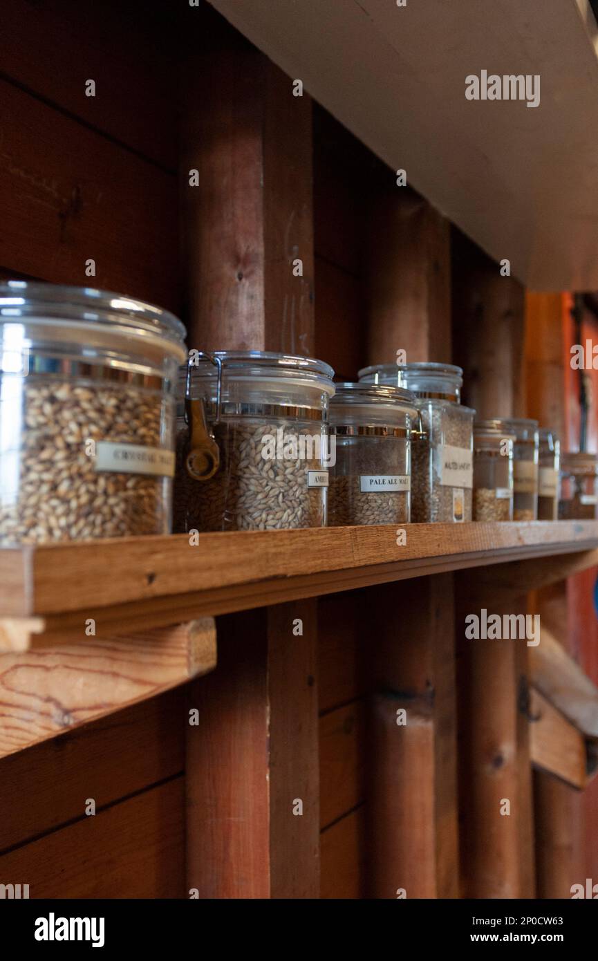 All'Hook Norton Brewery, Oxfordshire, sono esposti vasi di vari tipi di malto per l'educazione di gruppi turistici. Foto Stock