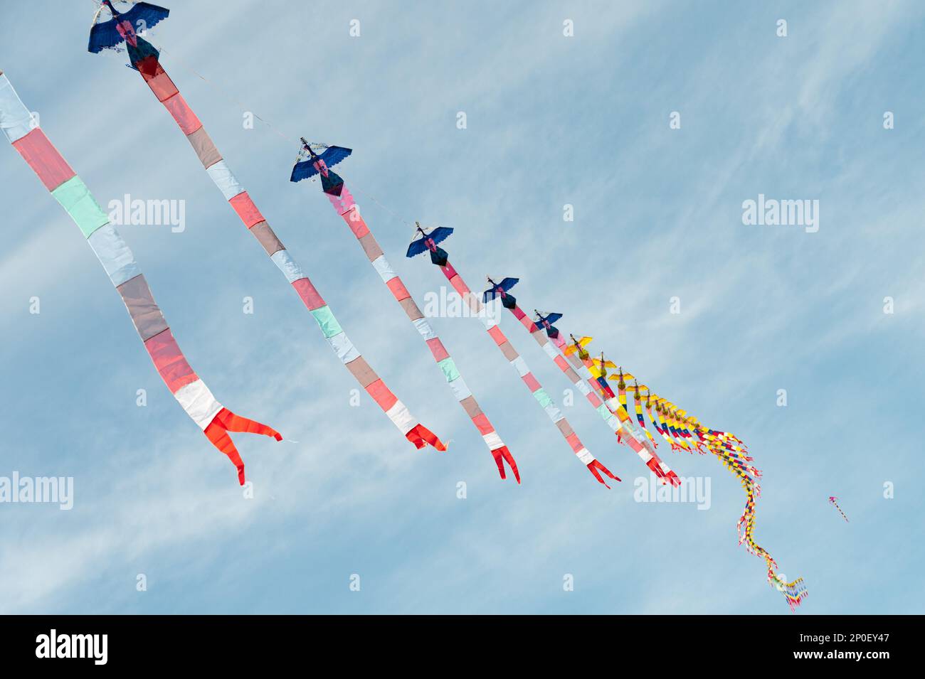 Aquiloni dalla coda lunga che volano come un gruppo collegato ad una singola linea nel cielo blu chiaro Foto Stock
