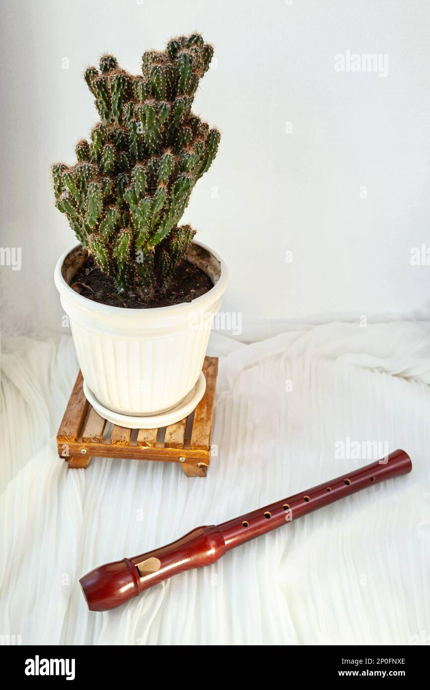 In legno marrone flauto accanto a un cactus pianta in un vaso. Strumenti a fiato Strumenti musicali su sfondo bianco con spazio di copia Foto Stock