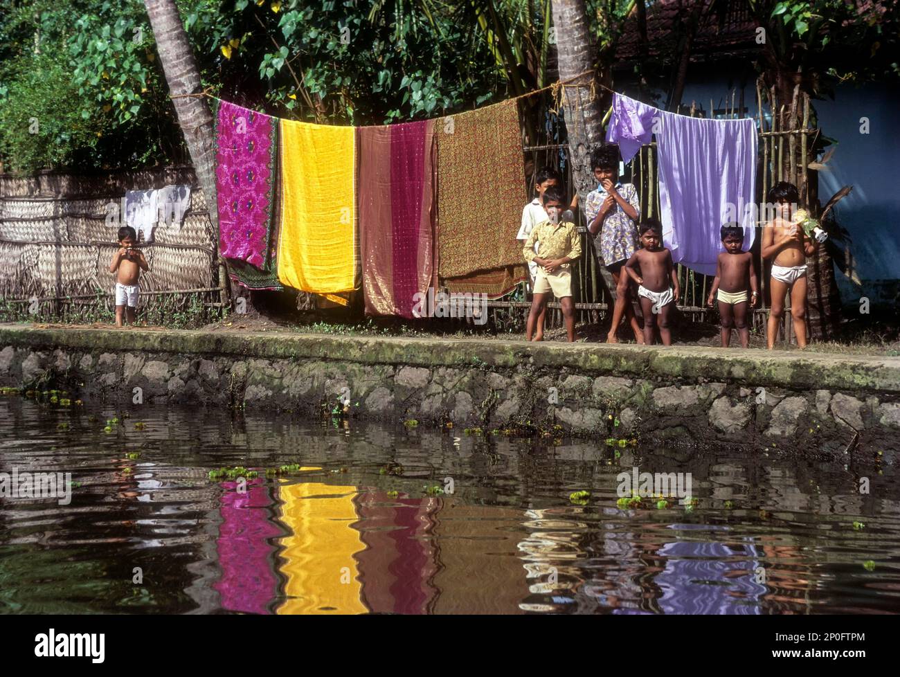 Curiosamente guardando bambini, backwaters di alleppey, kerala, India Foto Stock