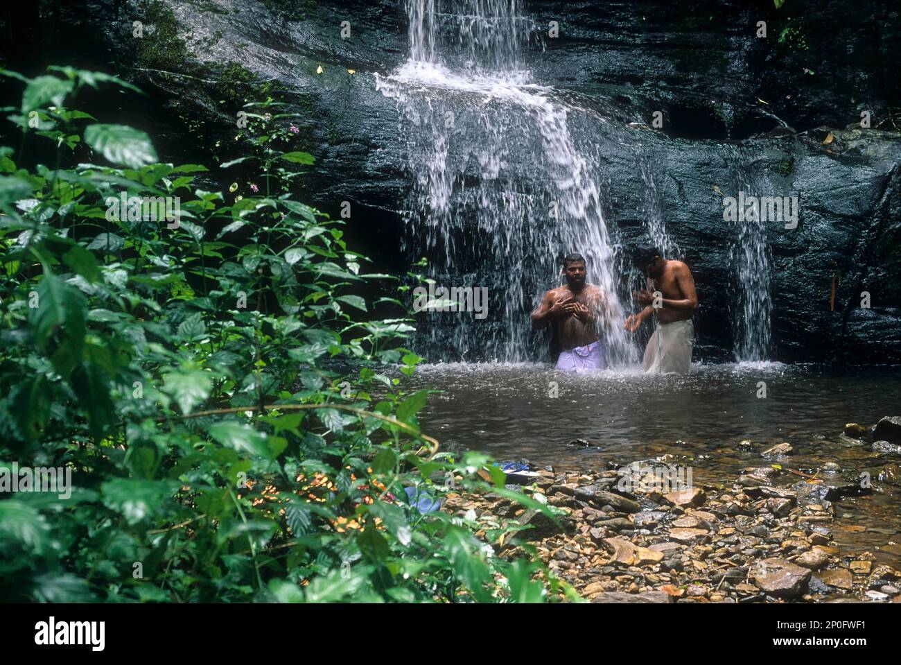 Cascate in collina nelliyampathy stazione kerala, india, India Foto Stock