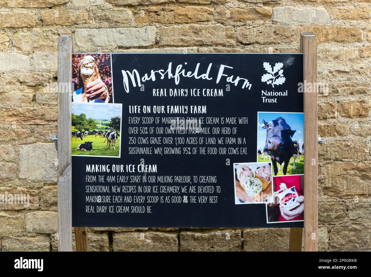 National Trust segno pubblicitario per Marshfield farm real lattery Ice cream, Lacock, Wiltshire, Inghilterra, Regno Unito Foto Stock
