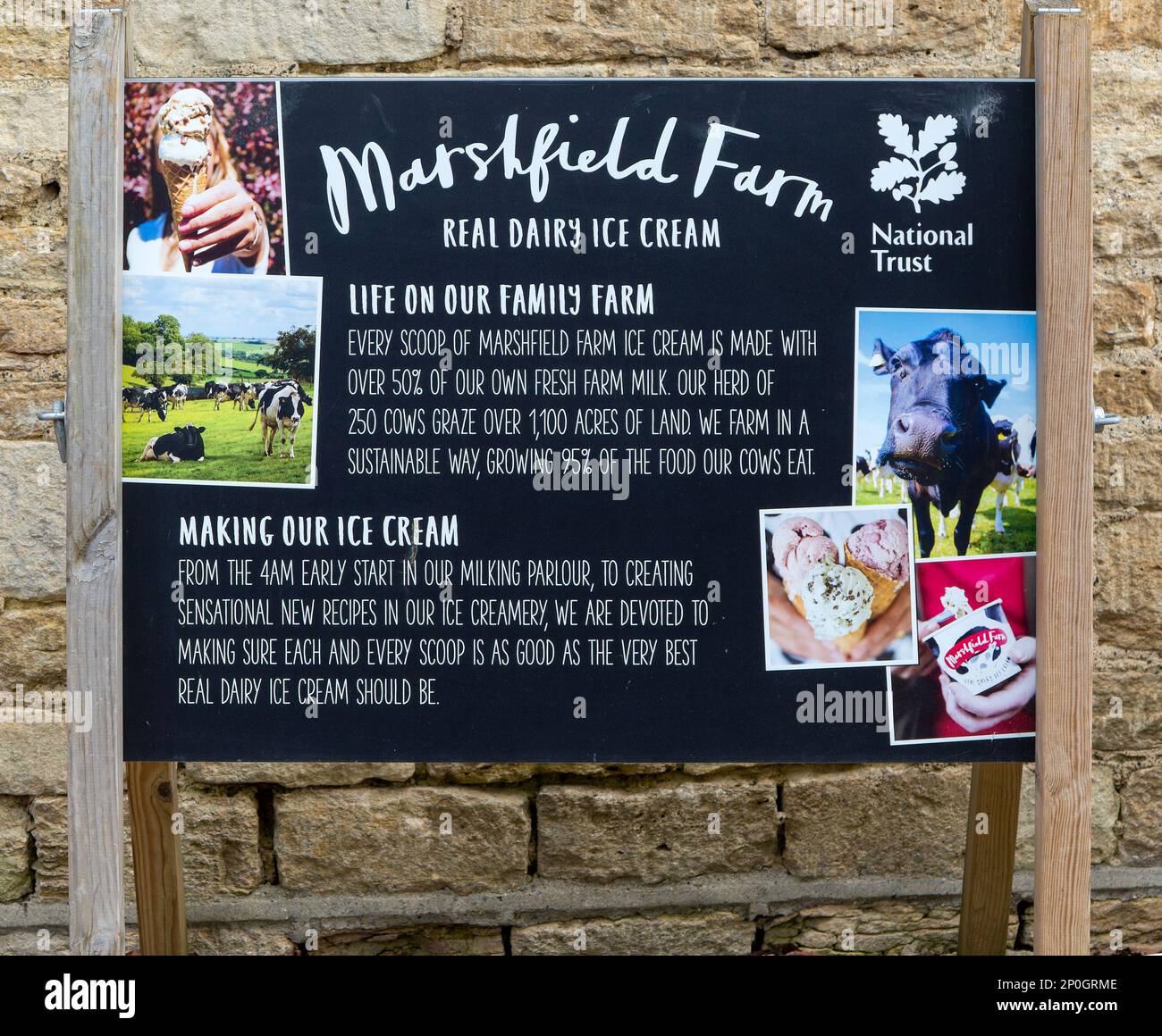 National Trust segno pubblicitario per Marshfield farm real lattery Ice cream, Lacock, Wiltshire, Inghilterra, Regno Unito Foto Stock