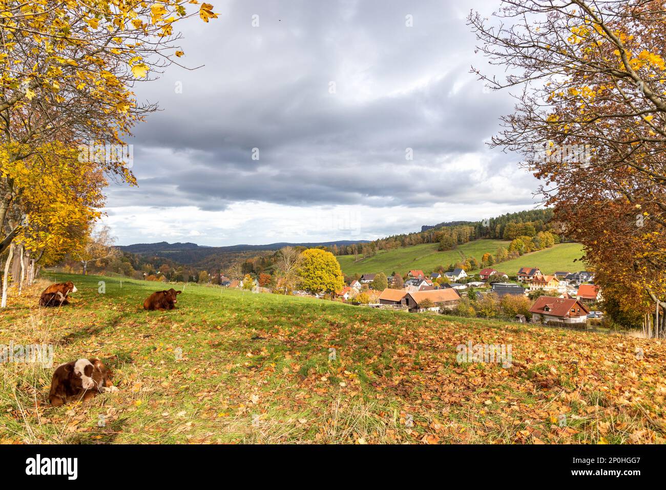 Elbsandsteingebirge im Herbst Sächsische Schweiz Foto Stock