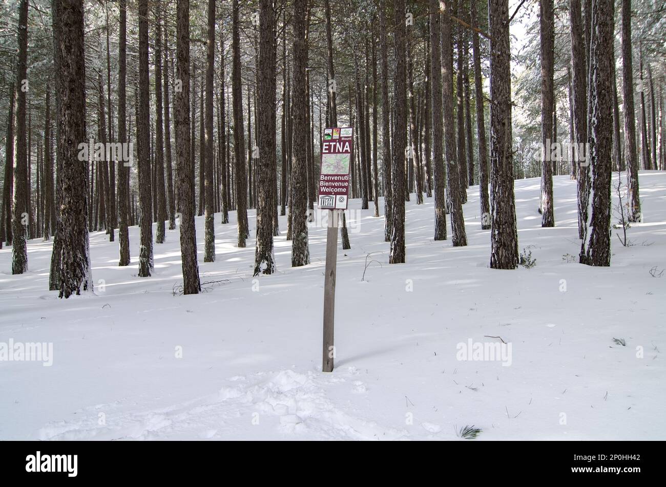 Cartello 'Etna Welcome' nella foresta invernale del Parco Nazionale dell'Etna in Sicilia Foto Stock