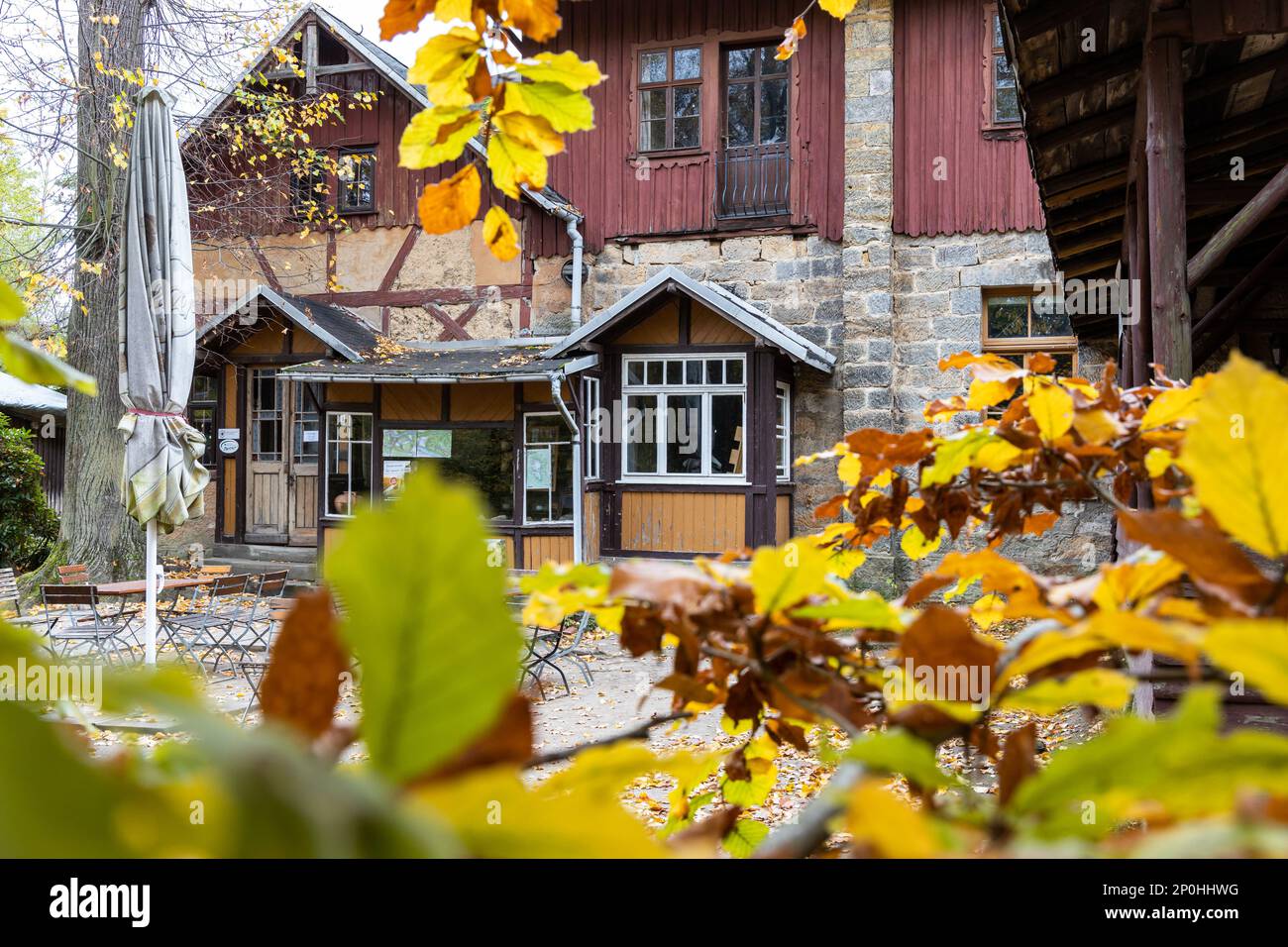 Elbsandsteingebirge im Herbst Sächsische Schweiz Foto Stock