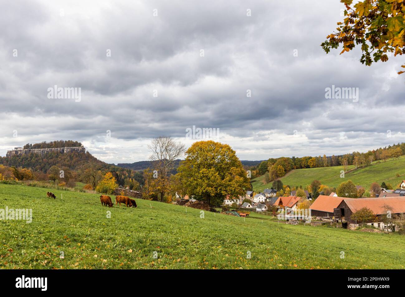 Elbsandsteingebirge im Herbst Sächsische Schweiz Foto Stock