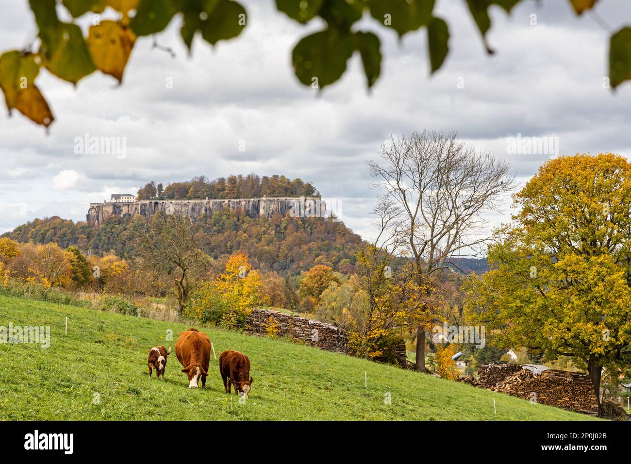 Elbsandsteingebirge im Herbst Sächsische Schweiz Foto Stock