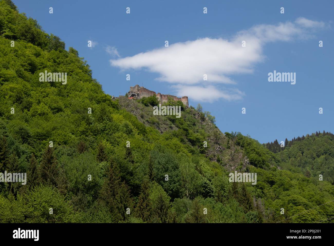 Cittadella di Poenari in Romania Foto Stock