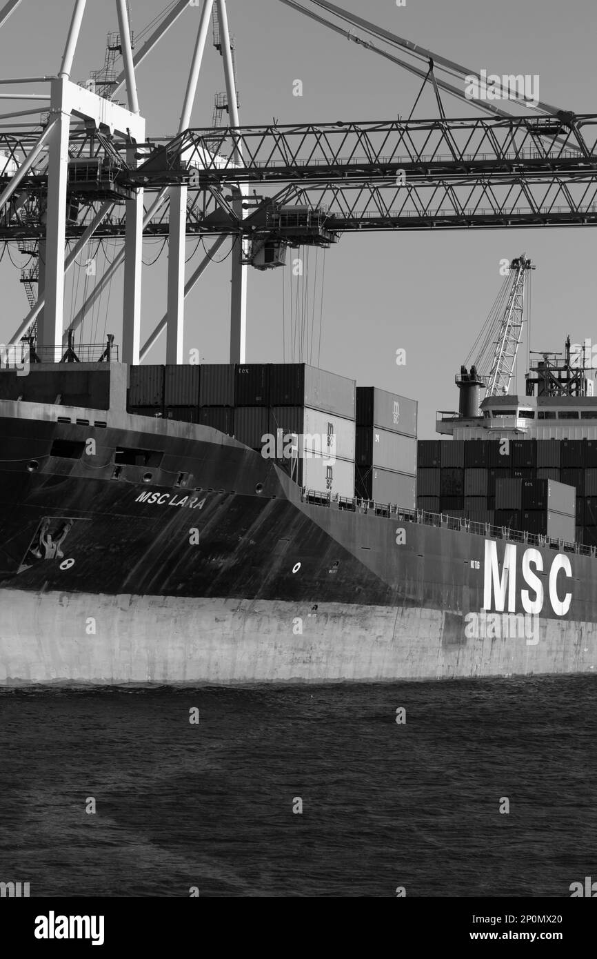 Odessa, Ucraina-202: Terminale logistico invia container di carico import-export a nave da carico in porto marittimo. Panorama industriale con caricamento gru a portale Foto Stock