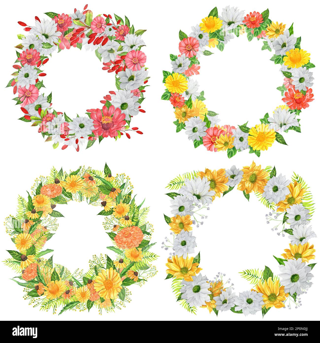 Quattro corone acquerello disegnate a mano con fiori da giardino e bacche. Una piccola parte del grande giardino DEGLI UCCELLI set Foto Stock