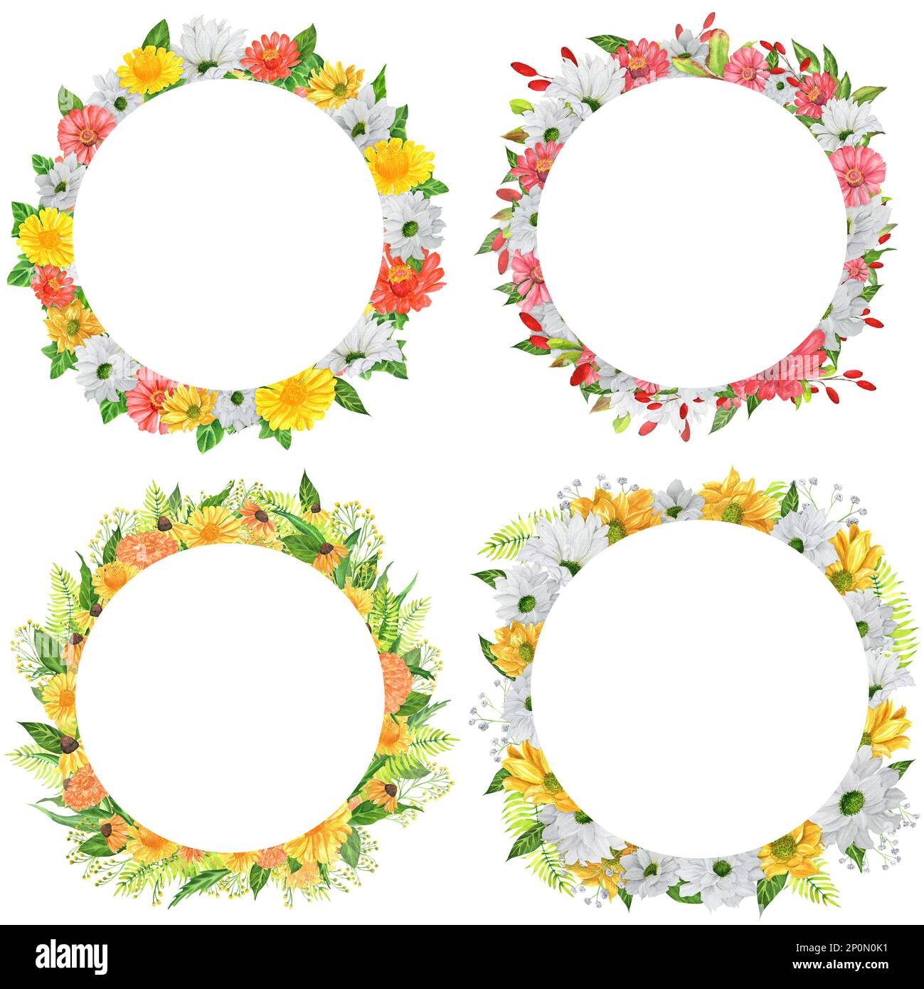 Quattro corone acquerello disegnate a mano con fiori da giardino e bacche. Una piccola parte del grande giardino DEGLI UCCELLI set Foto Stock