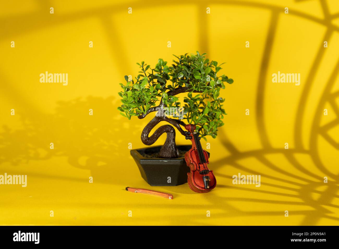 piccolo albero decorativo di bonsai con carino violino di legno che rimane su sfondo giallo con ombre geometriche astratte. Still life su sfondo caldo, soft focus, maschera di ombra gobo. Foto Stock