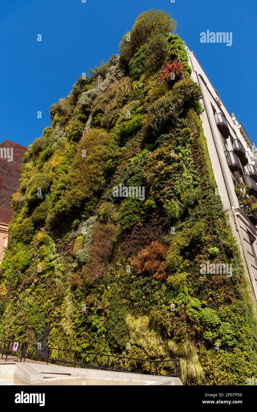 Giardino verticale sul muro di CaixaForum, Madrid, Spagna Foto Stock