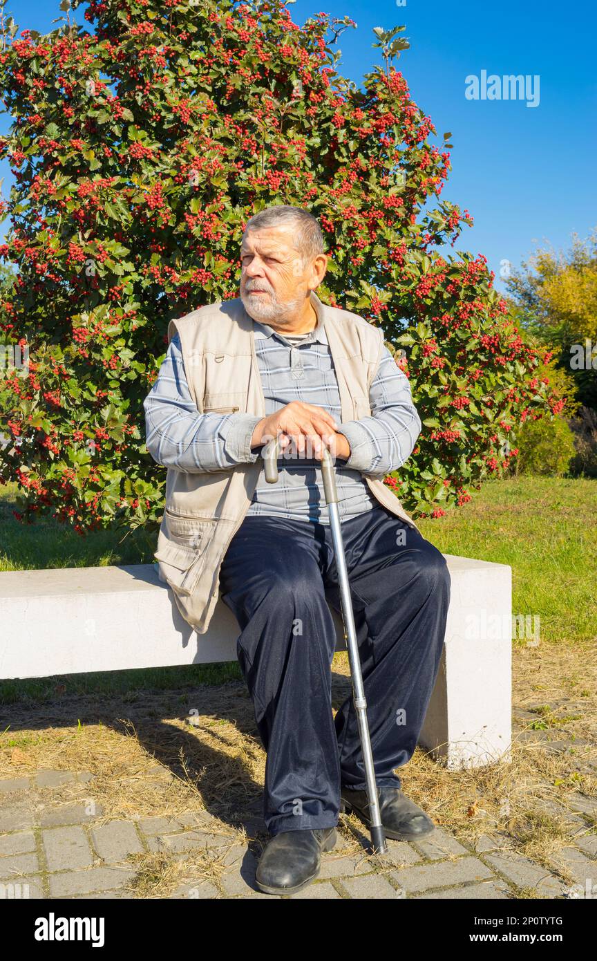 Ritratto dell'uomo anziano ucraino ordinario seduto su panchina contro l'albero di rowan e riposante in giornata autunnale di sole Foto Stock