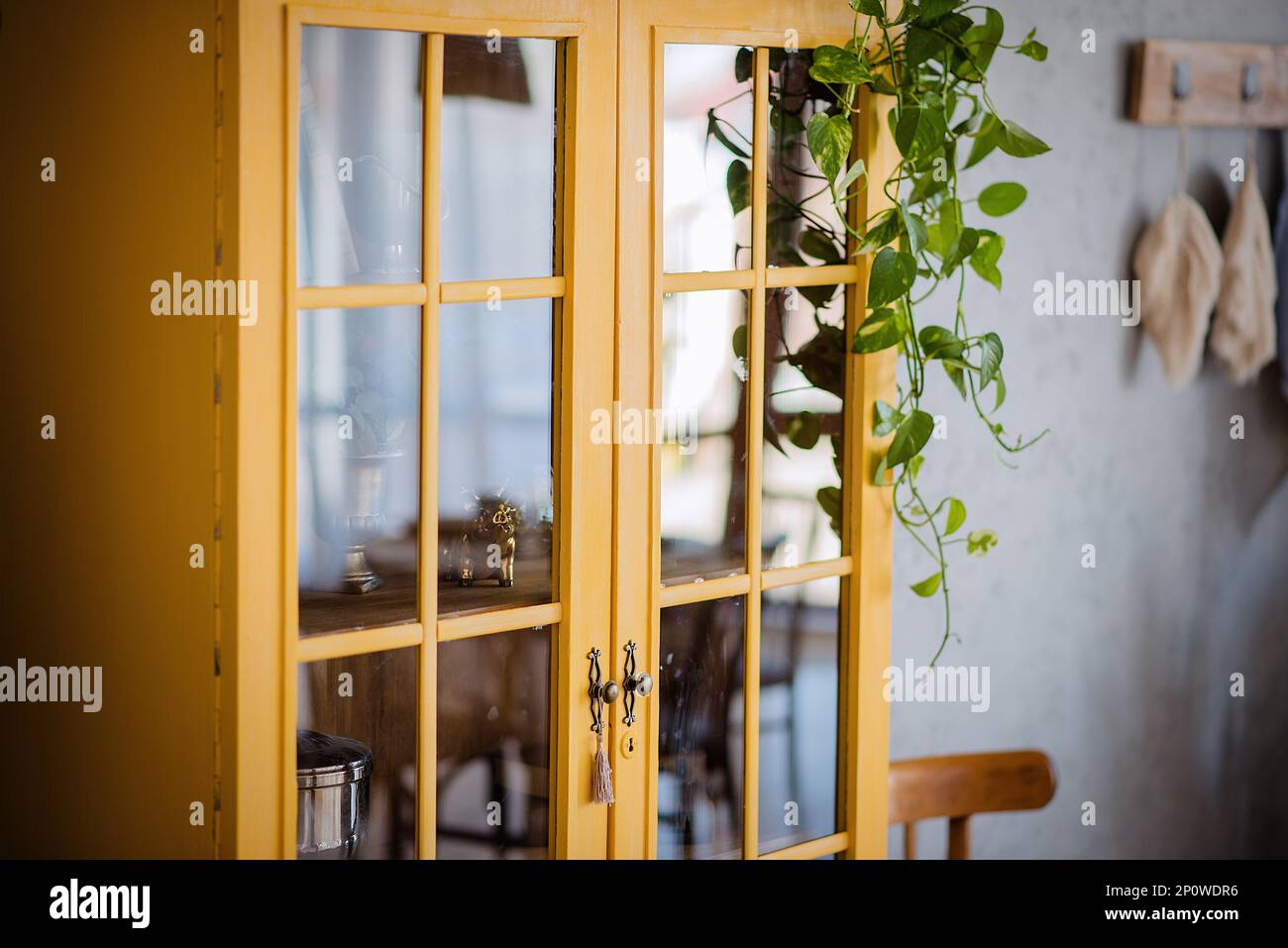 Libreria in legno giallo scuro contro parete in cemento grigio. Intorno alle pentole verdi con fiori domestici. Appartamento in stile loft scandinavo dal design rustico. Macrame Foto Stock