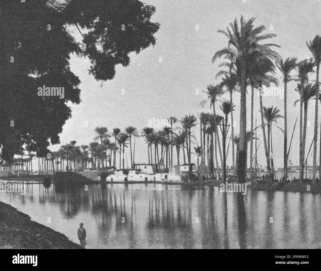 ''Abords de l'avenue de Gezireh pendant la crue du Nil; le Nord-Est Africain', 1914. Da "Grande Geographie Bong Illustree", 1914. Foto Stock