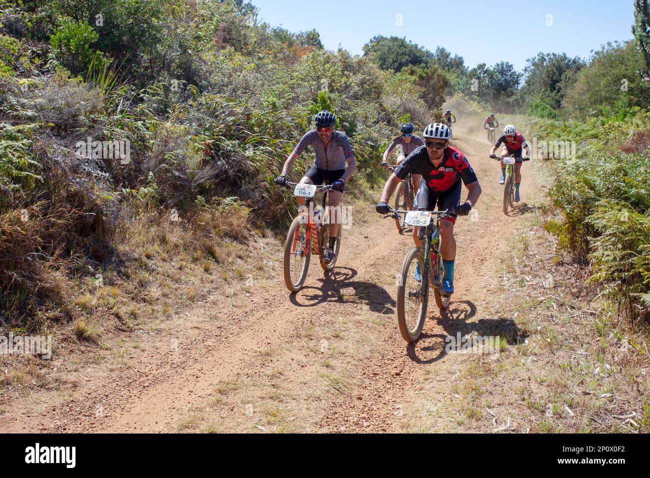 ABSA Cape Epic Prologue corsa in mountain bike Foto Stock