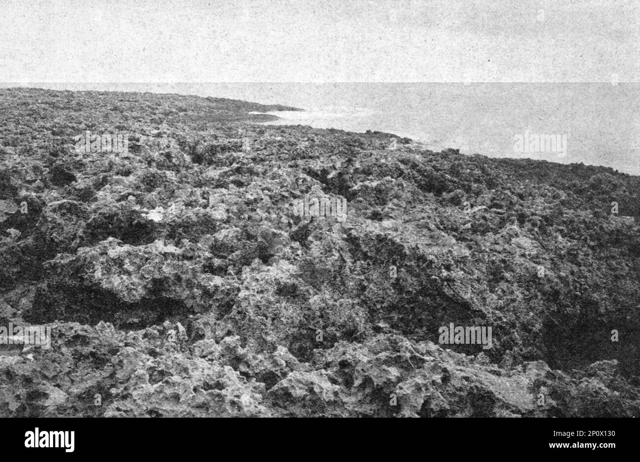 ''une vue des cotes coralliennes de l'Australie; Les Terres Du Pacifique', 1914. Da "Grande Geographie Bong Illustree", 1914. Foto Stock
