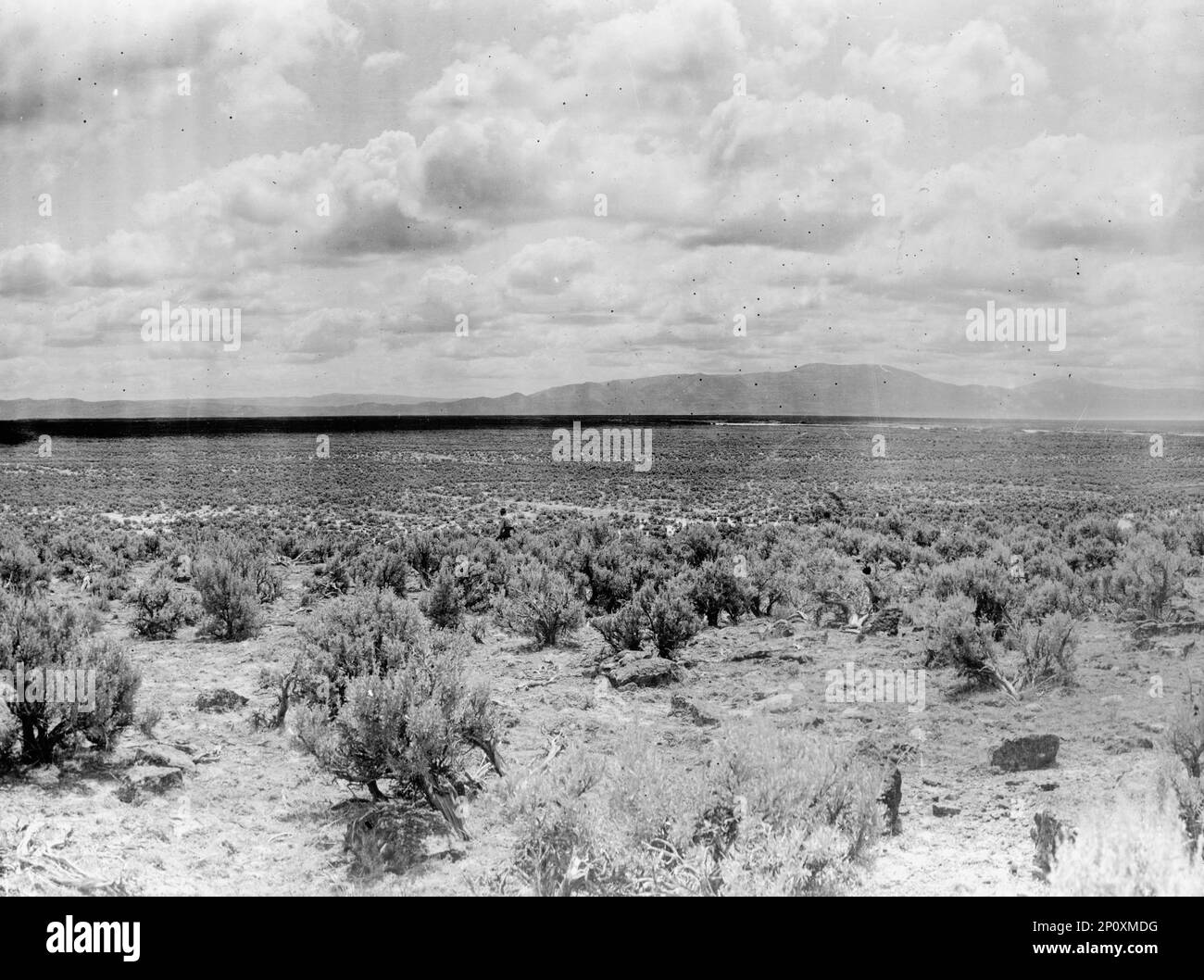 Progetto Minidoka - USA Ufficio di recupero. Deserto di Minidoka nel 1905, prima dell'irrigazione, 1912. Il progetto Minidoka era una serie di lavori pubblici realizzati per controllare il flusso del fiume Snake nel Wyoming e nell'Idaho, fornendo acqua di irrigazione alle terre agricole dell'Idaho. Foto Stock