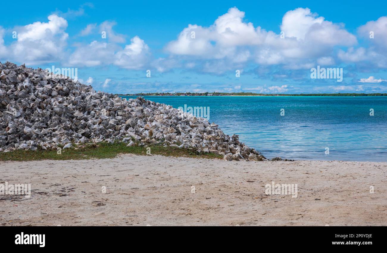 Una montagna di conchiglie sulla spiaggia di Lac Bay, Bonaire. Torna qui il mare dei Caraibi e con la località di Sorrobon sullo sfondo con cielo nuvoloso Foto Stock