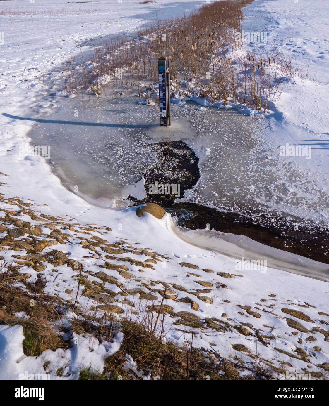 Paesaggio invernale di una fossa parzialmente congelata, con un'astina di livello al centro. E canne sullo sfondo. Foto Stock