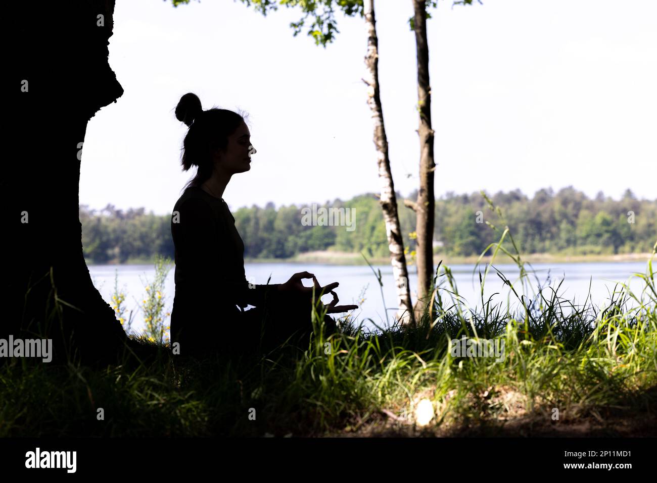 silhouette di una donna che pratica yoga e medita nella posizione loto in natura. Foto di alta qualità Foto Stock