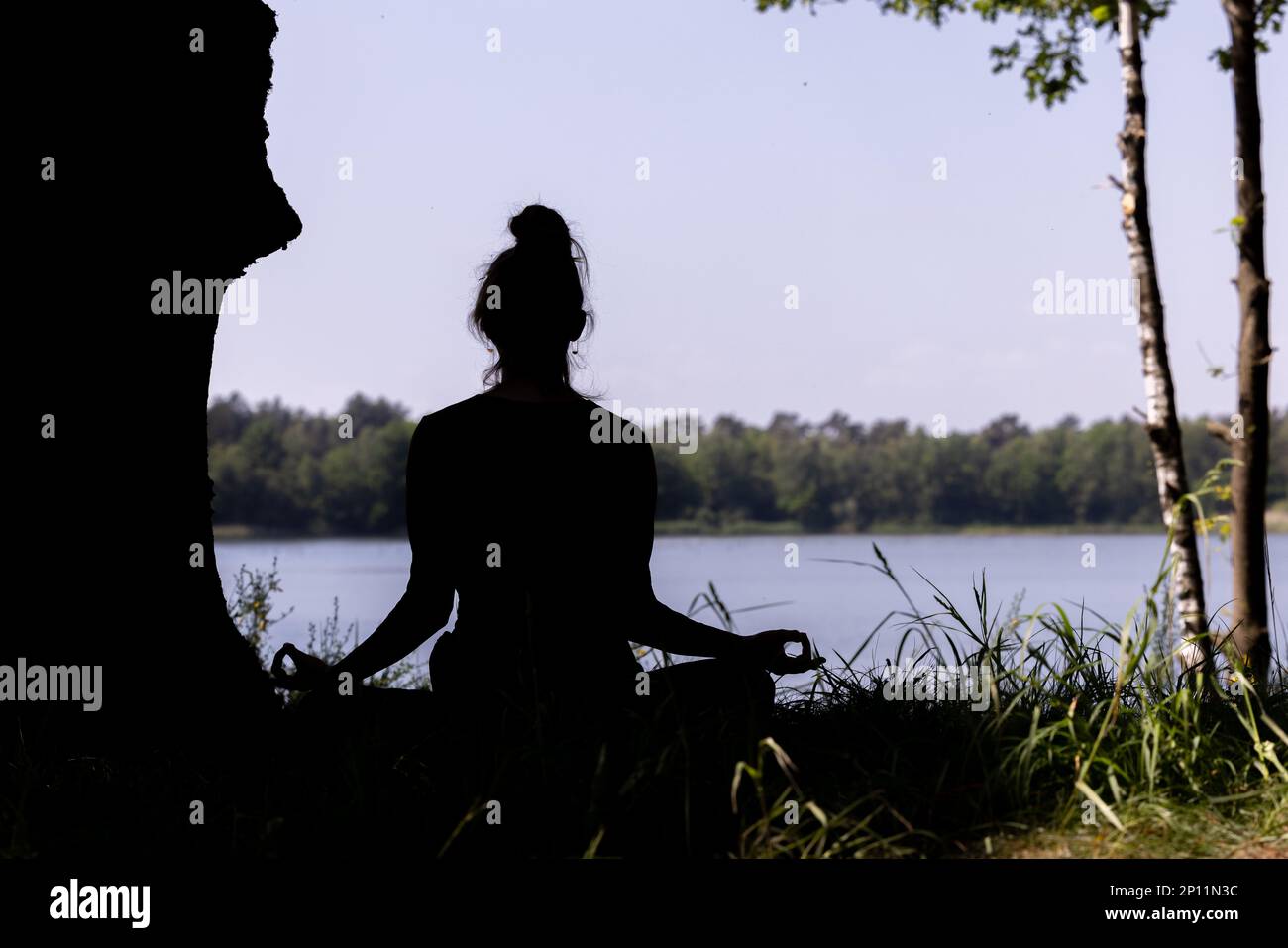 silhouette di una donna che pratica yoga e medita nella posizione loto in natura. Foto di alta qualità Foto Stock